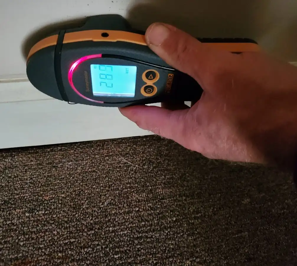 Moisture detection at baseboard during Mold Inspection & Testing in Ladera Heights